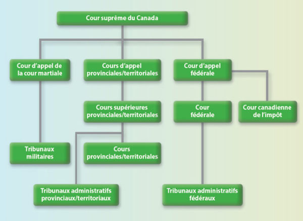 Le Tribunal Supérieur de 2024 : Un Aperçu du Système Judiciaire Canadien