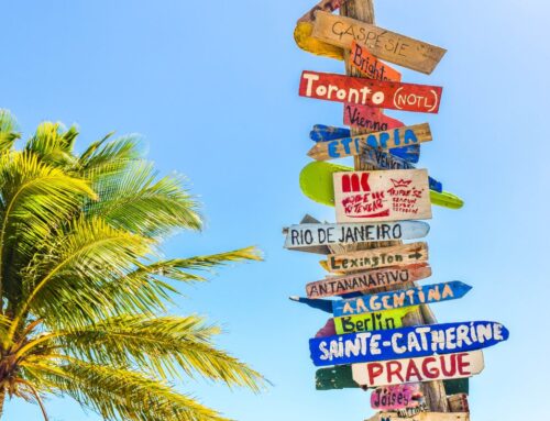 Make the Most of Your CSCJA Member Benefits This Summer